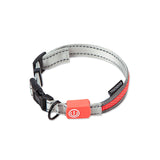 LED Dog Leash + Collar + Harness