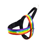 Rainbow Harness + Leash