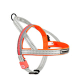 LED Dog Leash + Collar + Harness