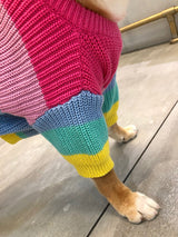 Rainbow Pup Sweater