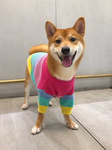 Rainbow Pup Sweater