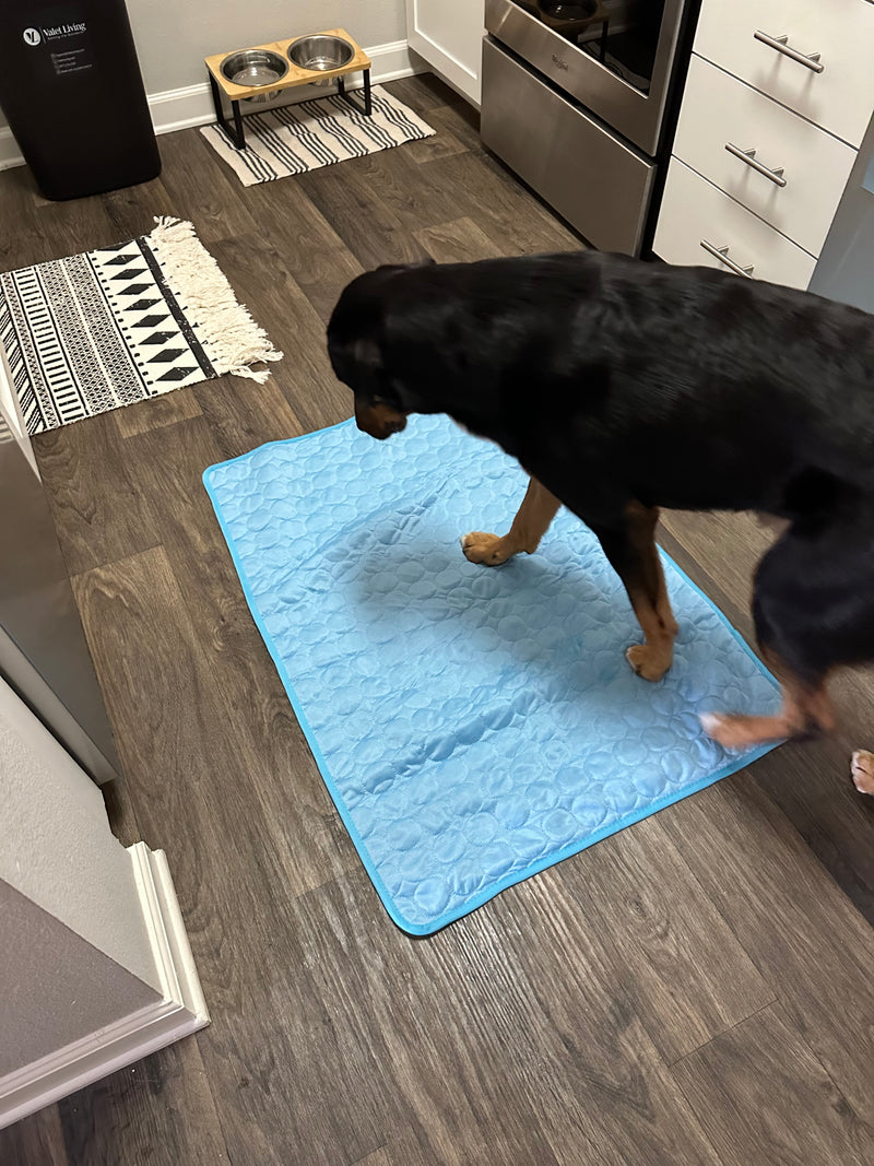 Pet Dog Cooling Mat