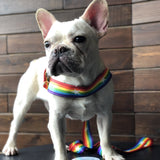 Rainbow Harness + Leash