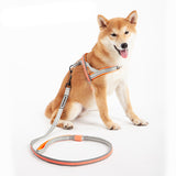 LED Dog Leash + Collar + Harness