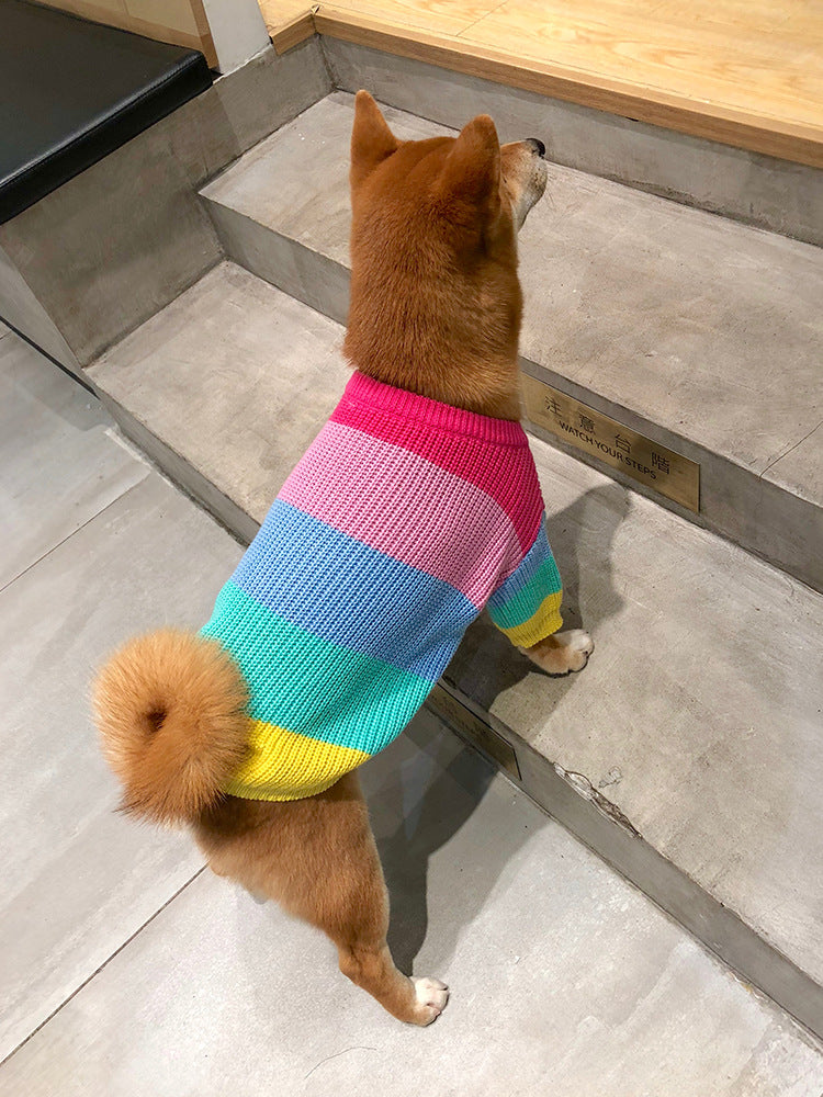 Rainbow Pup Sweater