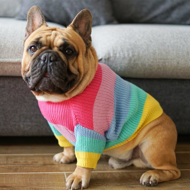 Rainbow Pup Sweater