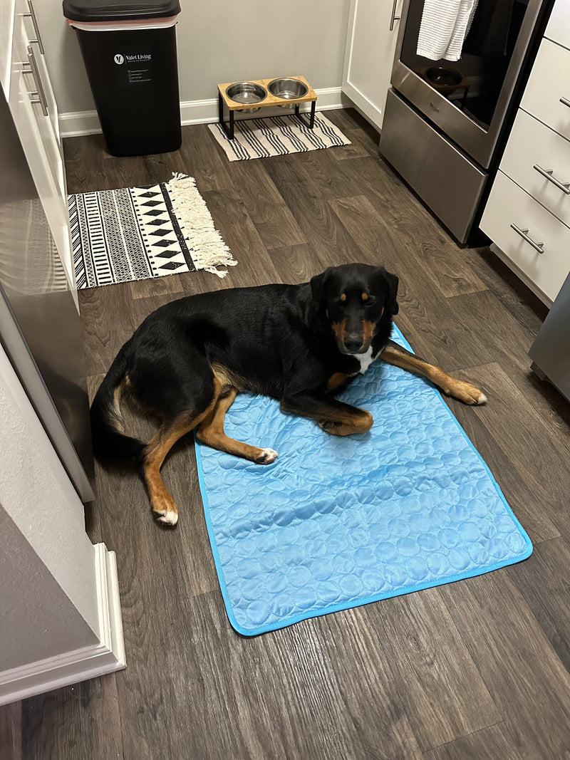 Pet Dog Cooling Mat