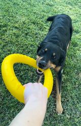 Dog Toy Ring