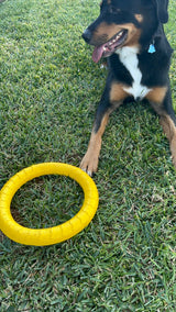 Dog Toy Ring