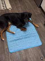 Pet Dog Cooling Mat