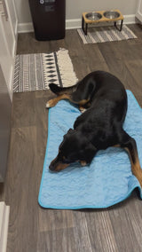 Pet Dog Cooling Mat