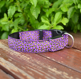 Leopard LED Pup Collar