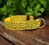 Leopard LED Pup Collar