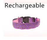 Leopard LED Pup Collar