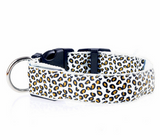 Leopard LED Pup Collar