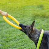 Dog Toy Ring