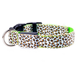 Leopard LED Pup Collar