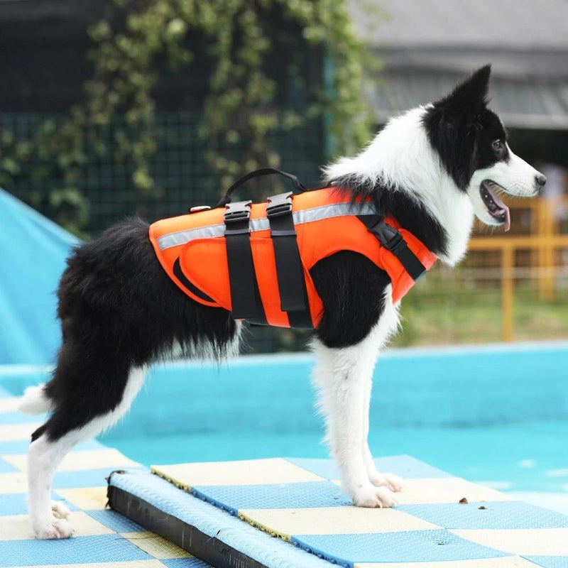 Reflective Pup Life Jacket