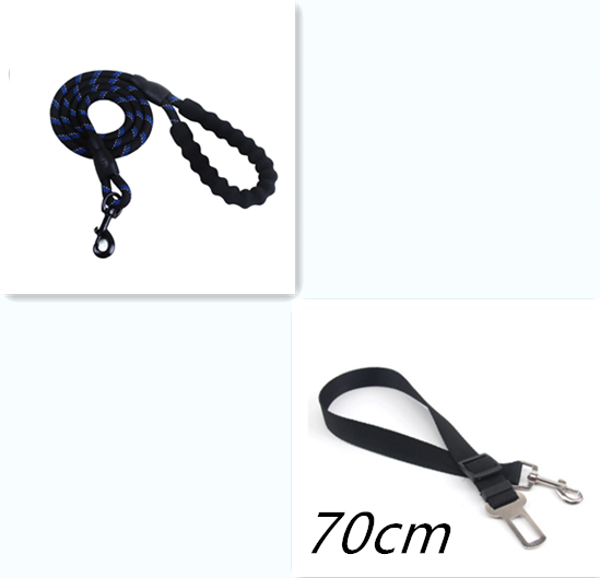 Pup Reflective Leash